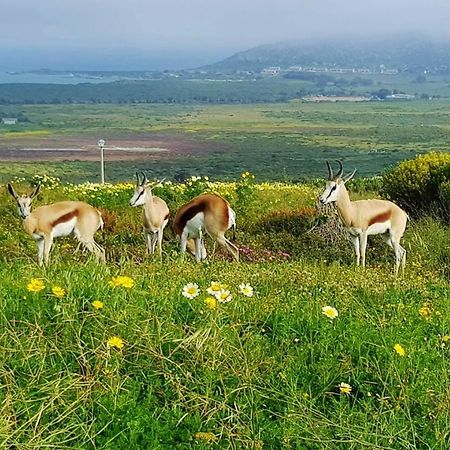 Berg En Dal Accommodation Saldanha Bay Dış mekan fotoğraf